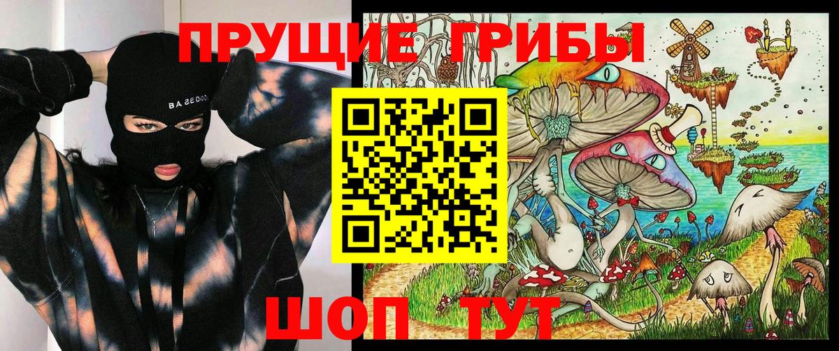 Псилоцибиновые грибы Psilocybine cubensis  Вход с VPN  Улан-Удэ 