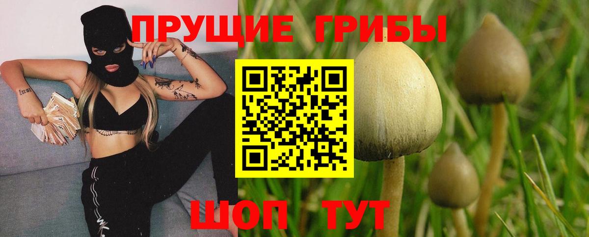 Псилоцибиновые грибы ЛСД Улан-Удэ